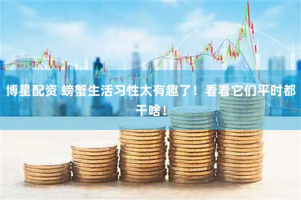 博星配资 螃蟹生活习性太有趣了！看看它们平时都干啥！