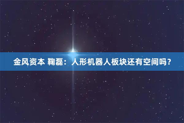 金风资本 鞠磊：人形机器人板块还有空间吗？